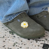 Daisy