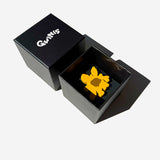 Flower Bundle